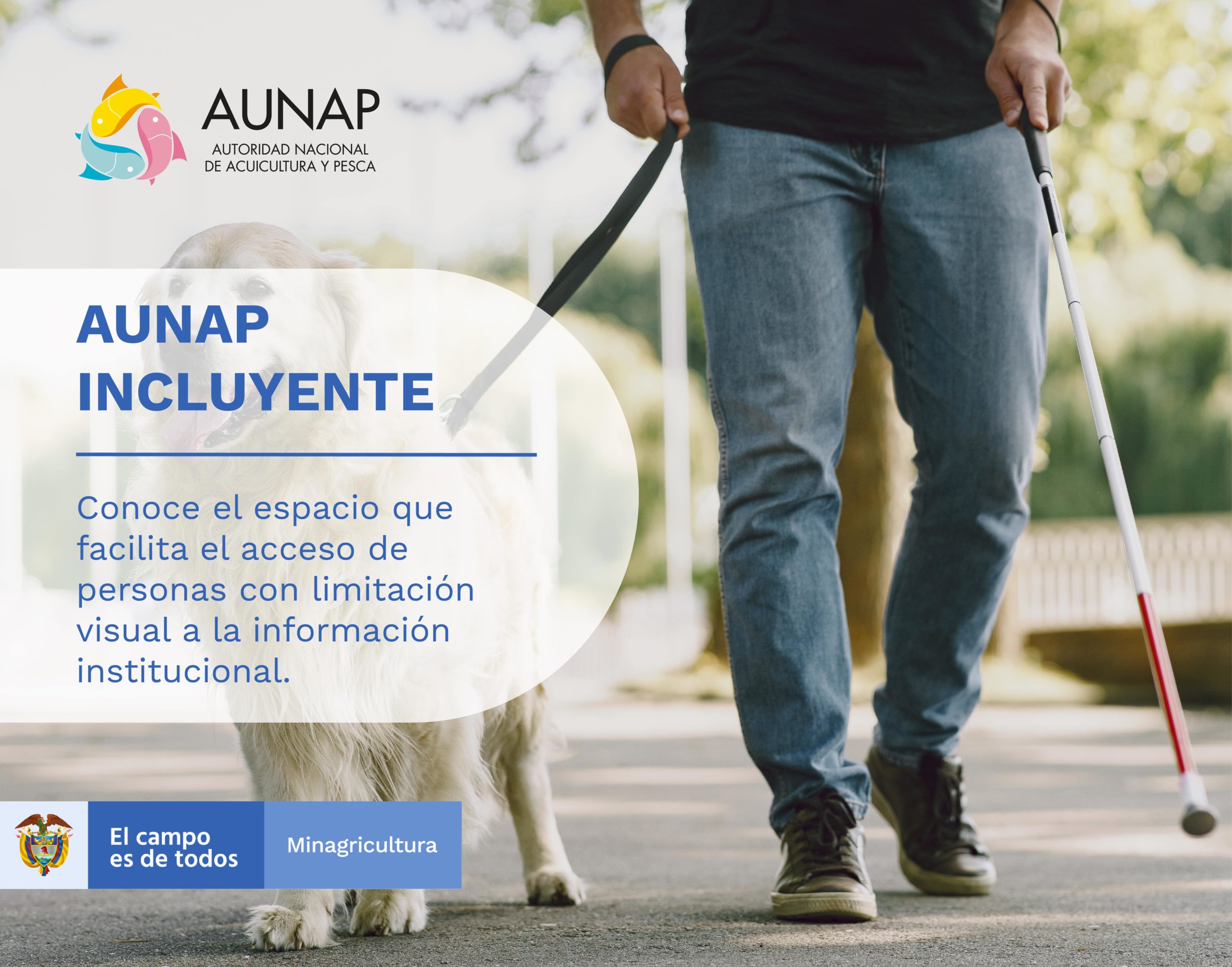 aunap incluyente