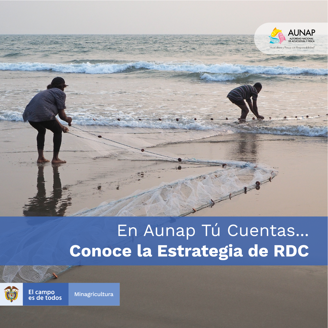 ins-fb-ren2020 rendicion de cuentas