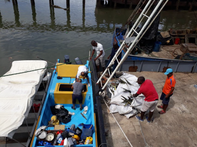 350 KILOS DE DORADO Y MARLÍN INCAUTADOS