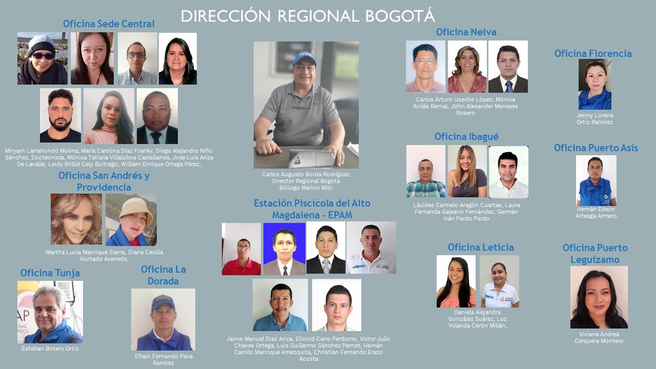 BOGOTA