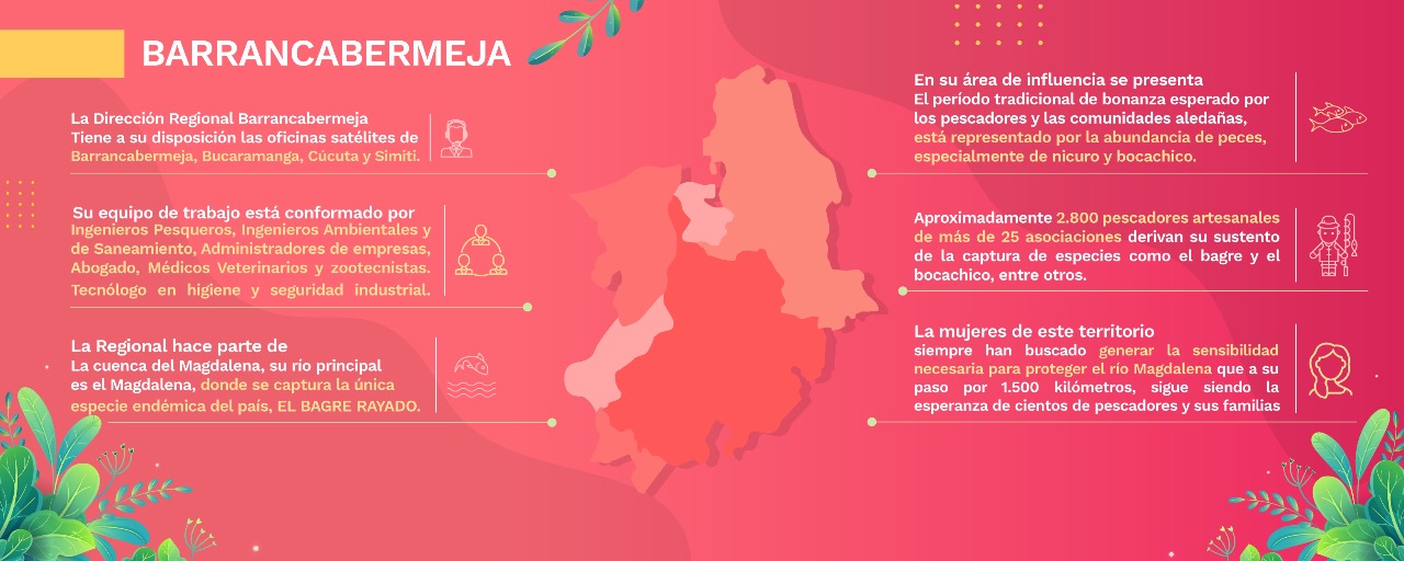 infografia barrancabermeja