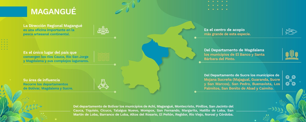 regional-magangue